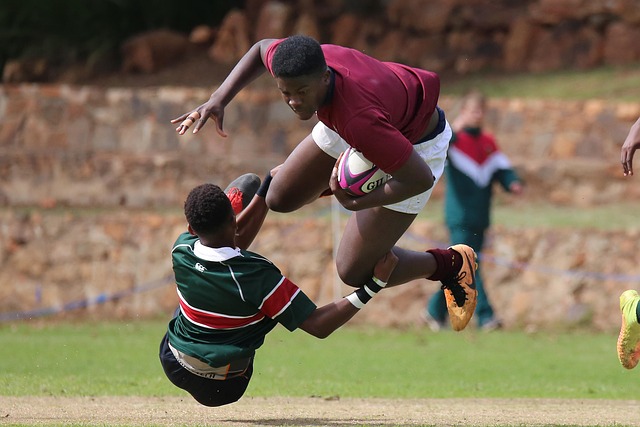 但皮球遗憾 但皮球遗憾