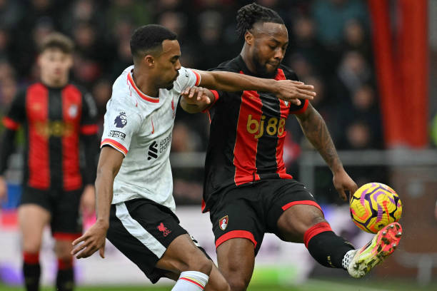 球迷的观赛 球迷的观赛