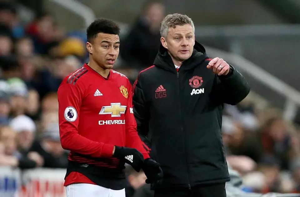 轻球员来填 轻球员来填